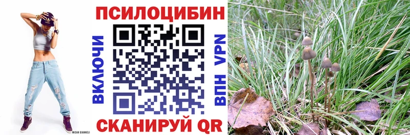 цены Конаково Псилоцибиновые грибы ЛСД