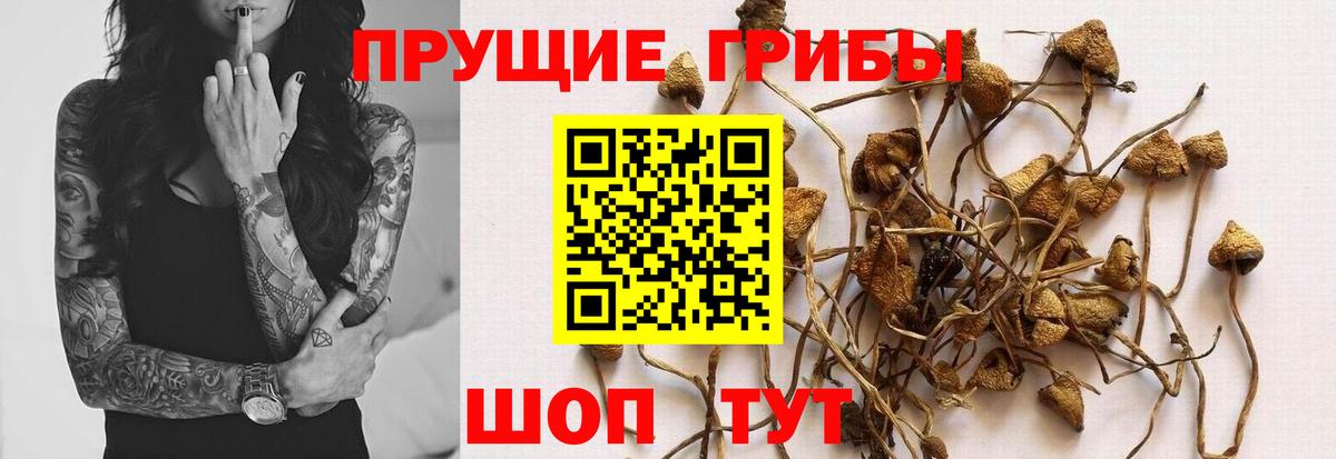 Галлюциногенные грибы мухоморы  продажа наркотиков  Конаково  Вход с VPN 