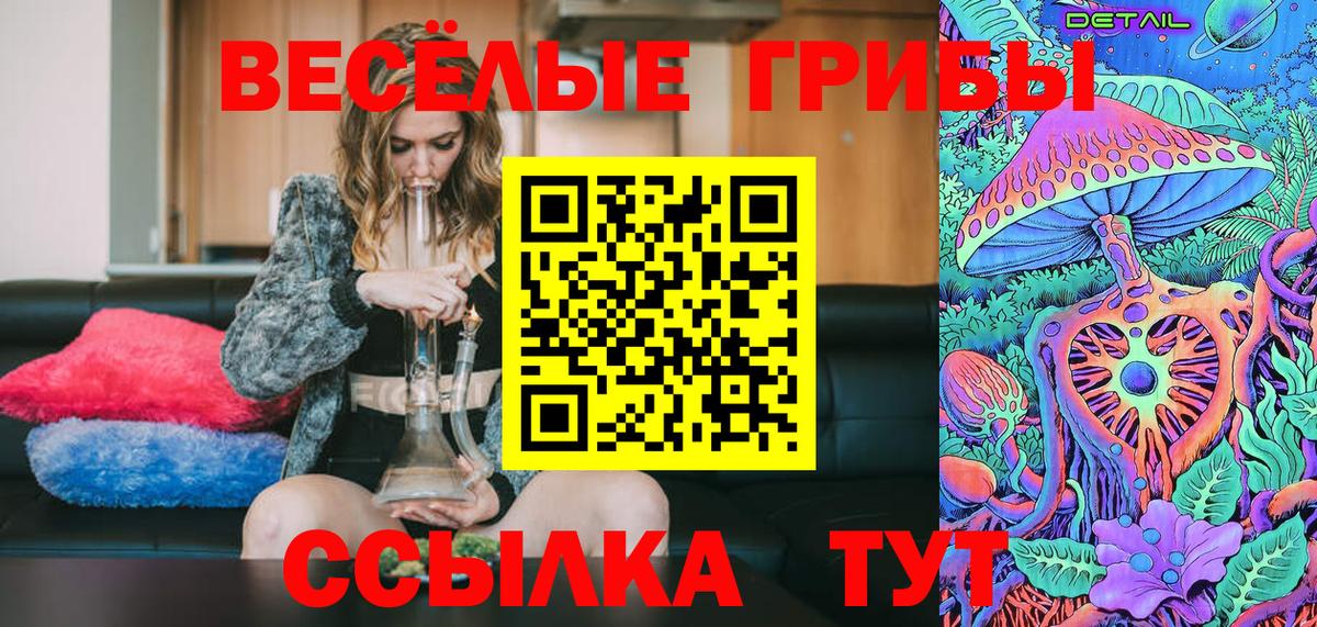 купить   Конаково  Галлюциногенные грибы Magic Shrooms 